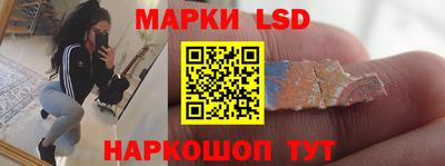 прущие крисы Моздок