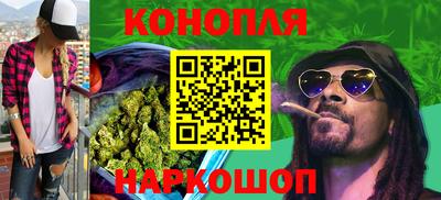 спайс Малгобек