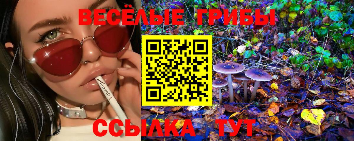 Советск  Псилоцибиновые грибы прущие грибы  Вход с VPN 
